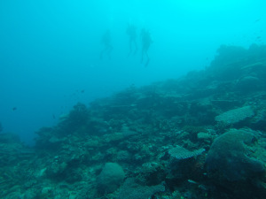 scuba diving fiji