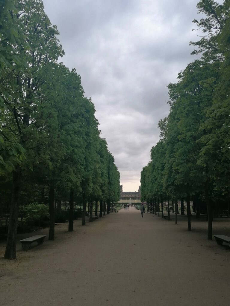 jardin de tuileries